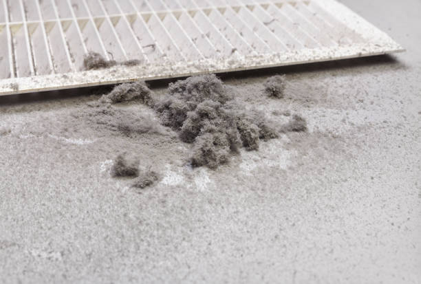 Best HVAC Air Duct Cleaning  in Bells, TN