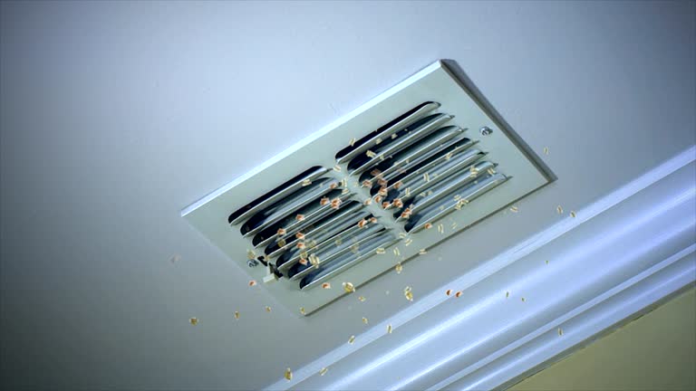 Best Commercial HVAC Duct Cleaning  in Bells, TN