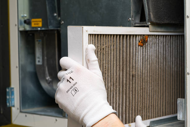 Best Ductwork Cleaning Services  in Bells, TN