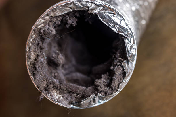 Best Air Duct Cleaning Near Me  in Bells, TN
